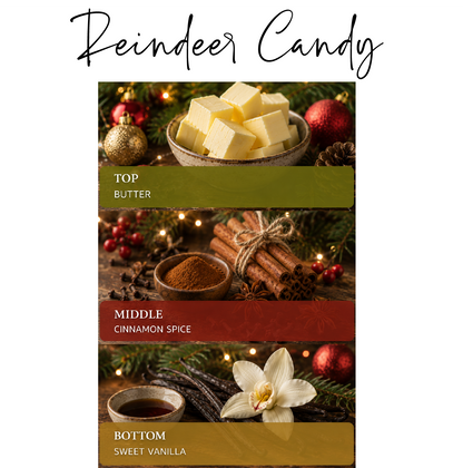 Be Merry & Bright Christmas Candle | 12 oz Jar